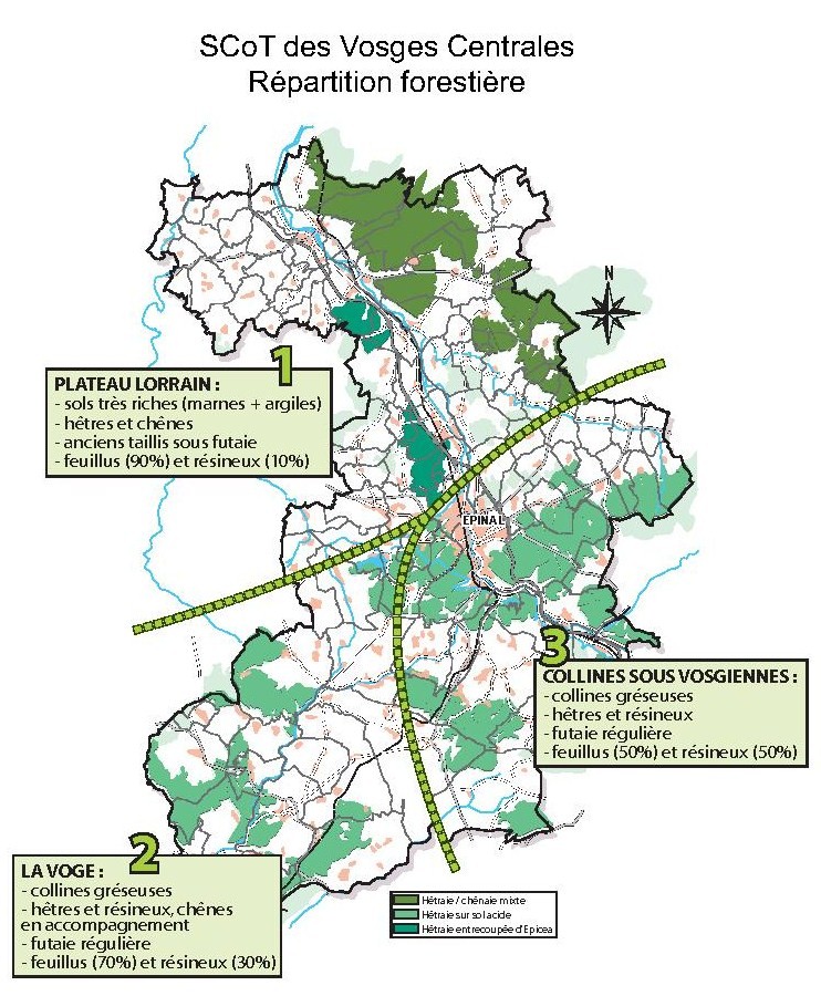 Répartition forestière